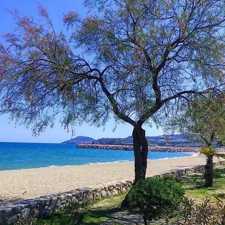 Résidence Le Lagon - En Bord De Mer Et Proche Des Commerces - Climatisation - 2 -terrasse - Vue Montagne Appartement